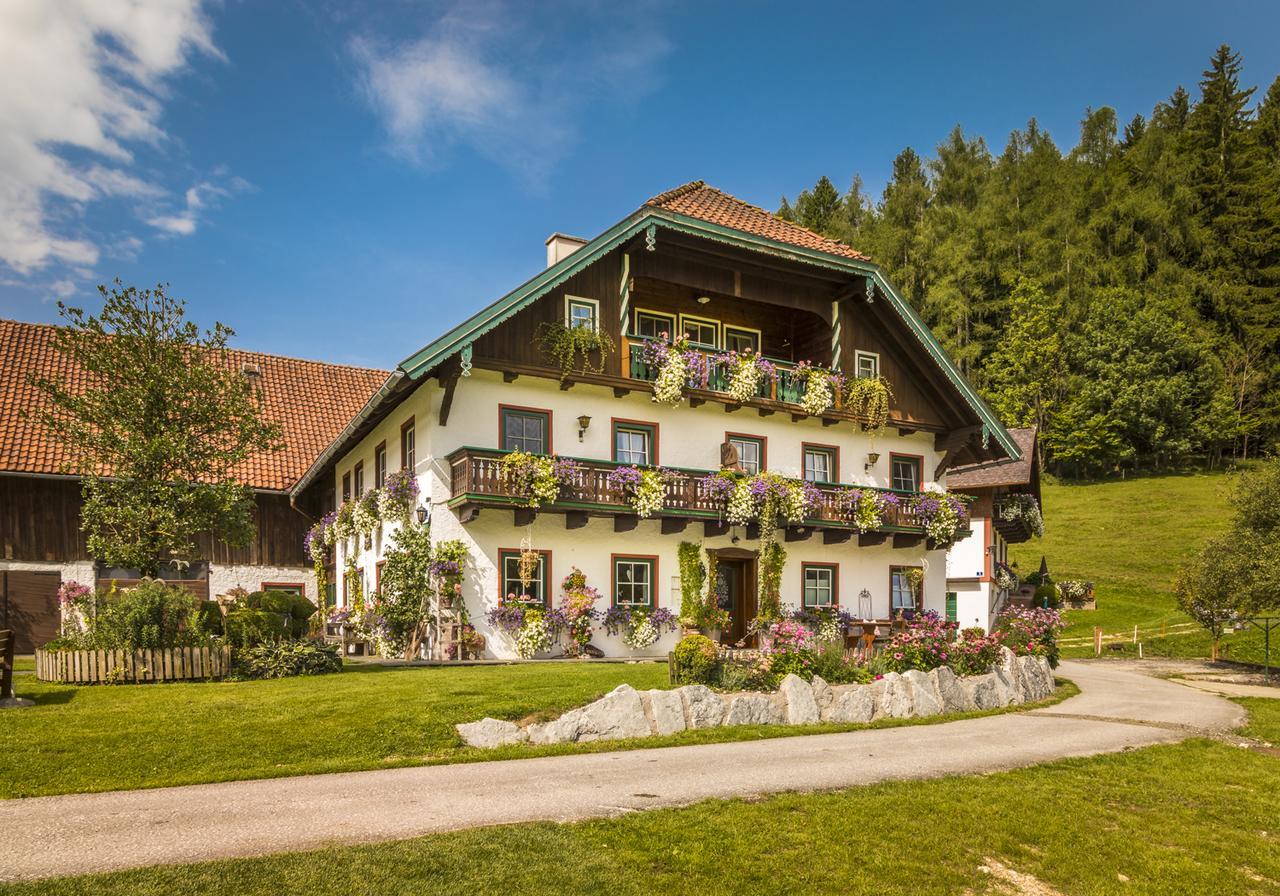 Wohlfuehlbauernhof Bambichlhof Villa Fuschl am See Exteriör bild