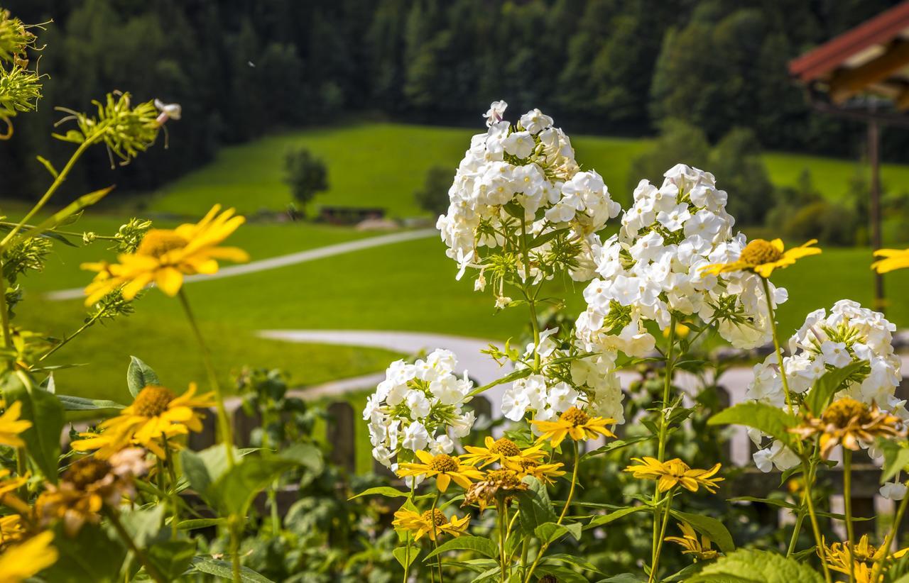 Wohlfuehlbauernhof Bambichlhof Villa Fuschl am See Exteriör bild
