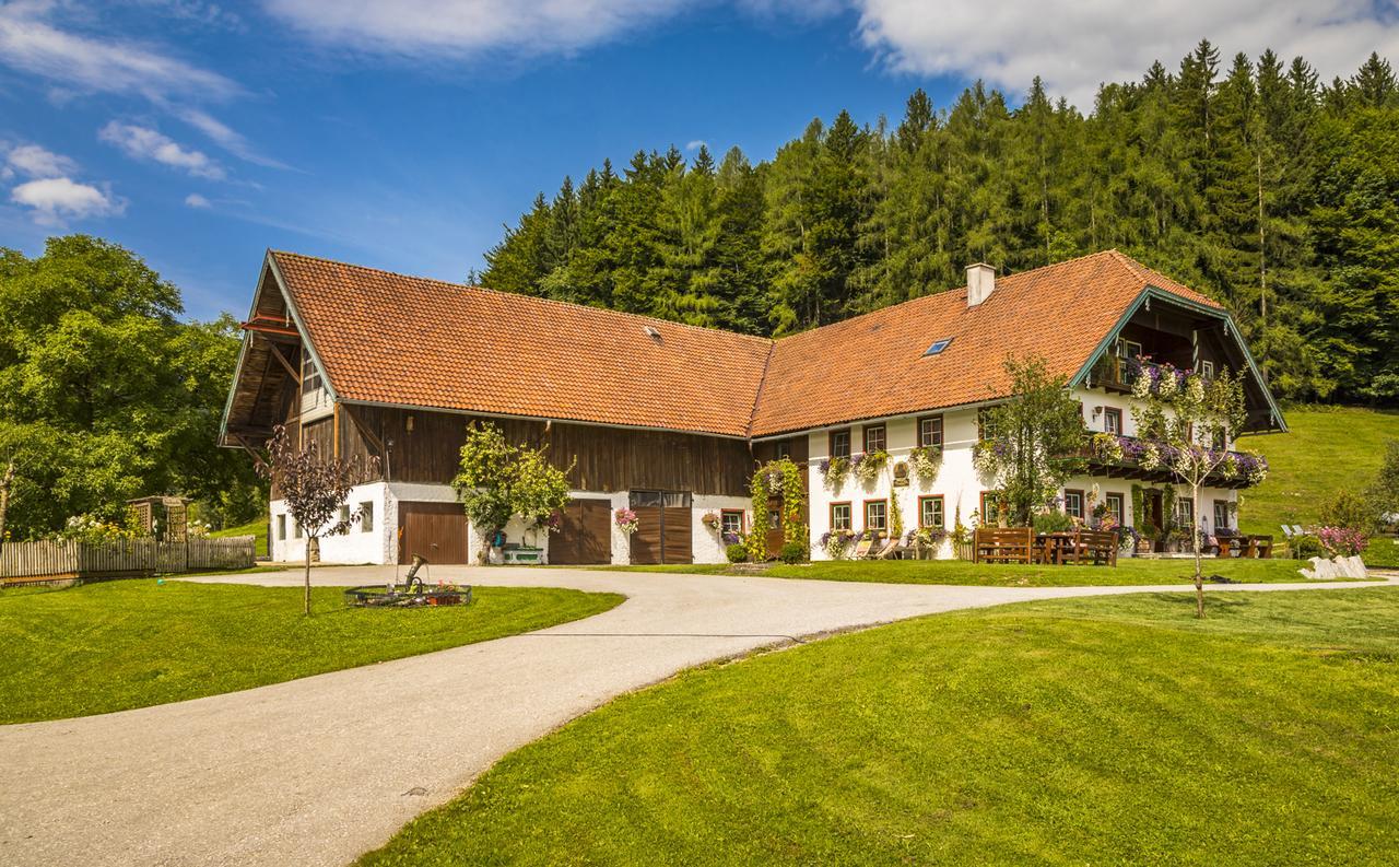 Wohlfuehlbauernhof Bambichlhof Villa Fuschl am See Exteriör bild