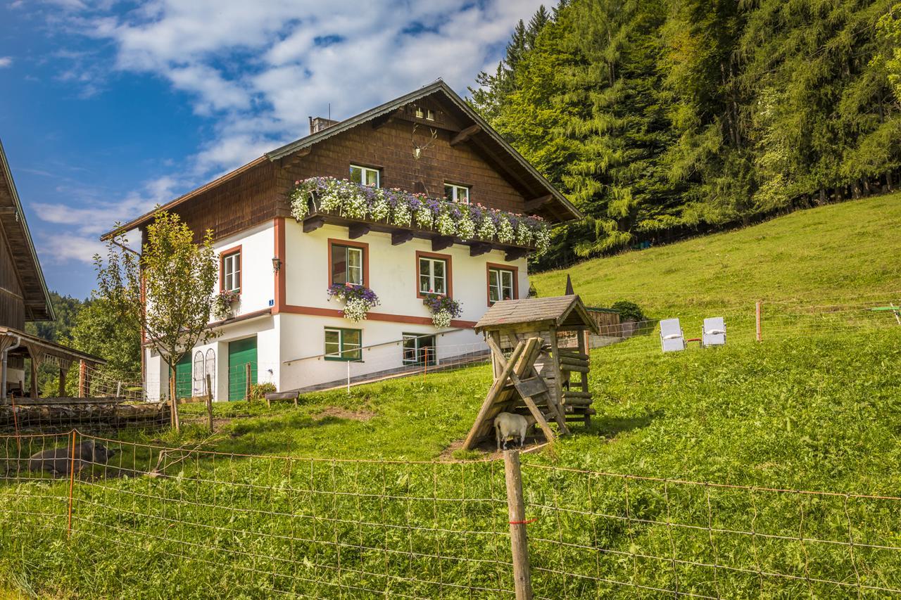 Wohlfuehlbauernhof Bambichlhof Villa Fuschl am See Exteriör bild