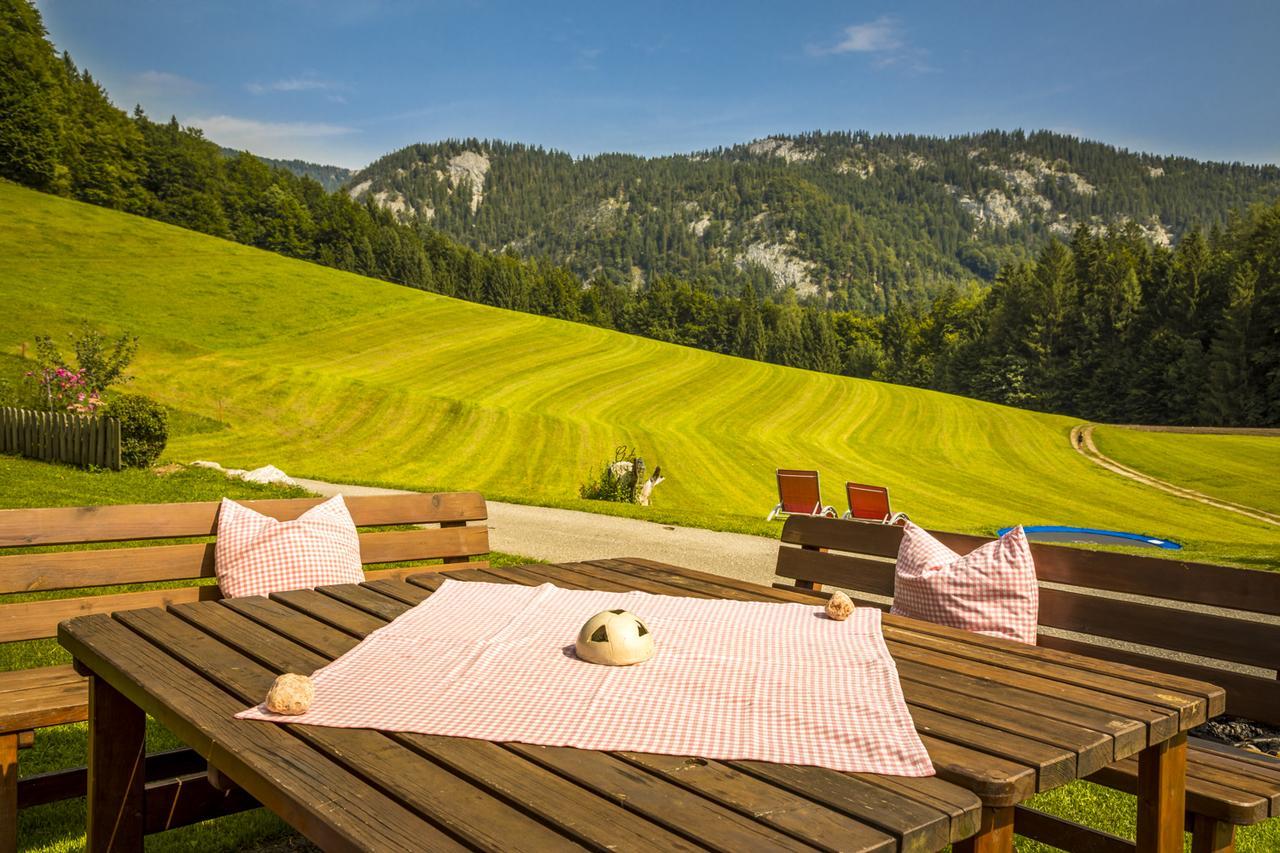 Wohlfuehlbauernhof Bambichlhof Villa Fuschl am See Exteriör bild